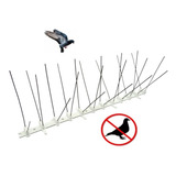 13 Espícula Anti Pombo Aves Pássaros Aço Inoxidável Promoção