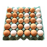 130 Unidades Cartela Para 30 Ovos