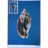 1464 Cartão Postal Fauna