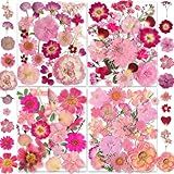 148 Peças Flores Secas Prensadas Rosa Com Adesivos De Borboleta - YouthBro Conjunto De Artesanato De Flores Da Natureza Real Para Joias De Resina- Vela- Sabonete- Vaso- Fazer Cartão De Unhas-