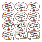 15 Placas Plaquinhas Divertidas Casamento, Festa Junina