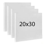 15 Telas Para Pintura 20x30 P/ Tinta Acrílica Ou A Óleo
