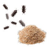 15 Bes Tenébrio Molitor 1kg Farelo Especial