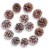 15 Peças De Pinhas De Natal Pinhas A Granel Pinhas Naturais Para árvores De Natal Artesanato Decorações De Pinhas Brancas E Naturais