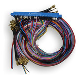 Jamma