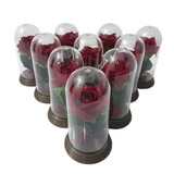 180 Mini Cúpulas A Bela E A Fera P. 11 Cm Rosas Vermelhas