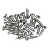 19 Parafusos Inox Polido Escudo Tampa E Canoa Padrão Fender