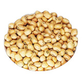 Lourenço