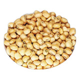 1kg Feijão De Corda Top De Linha Qualidade Premium