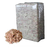 1kg Musgo Sphagnum Esfagno Ordídeas Carnivoras