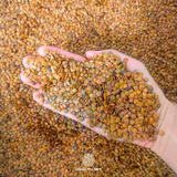 1kg Sementes De Sansão Do Campo Selecionadas (sabiá)
