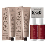 2 Coloração Igora Royal Absolutes + 2 Ox Selecione A Cor Ox