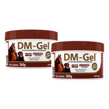 2 Dm Gel AnaLGésico 300g Vetnil (anti-inflamatório Animais)