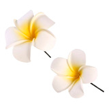 2 Fivelas Para Cabelo De Flor Grampos Havaianas
