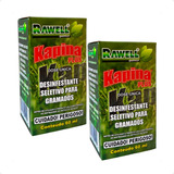 2 Kapina Plus Herbicida Seletivo Para Gramados Rawell 60 Ml