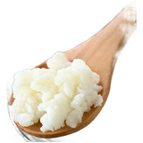 2 Kefir De Leite 10g + Manual De Cuidados Envio Brasil Todo