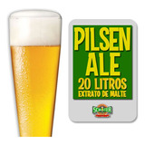 2 Kit Insumos Para Cerveja Artesanal - Pilsen Ale 20 Litros