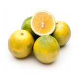 2 Mudas De Laranja Serra D'água - Produzindo - Enxertada