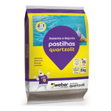 2 Pct Rejunte Piscina Assenta Rejunta 5 Kg Cores Quartzolit.