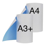 A3