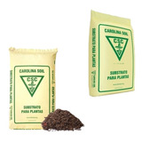 Germinação