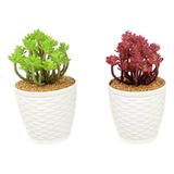 2 Suculentas Artificiais - Mini Vasinhos Vasos Kit Arranjos