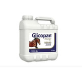 2 X Glicopan Energy 5 Litro