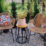 Jardim