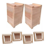 2 Caixa Inpa Jatai Mirim Abelha Sem Ferrão 12x12 Eucalipto