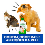 Pelagem