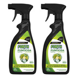 500ml