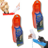 Gatos