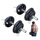 Musculação