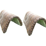 Escura