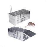 2 Ratoeiras Gaiola Armadilha Com Mola Pega Ratos Ratazanas