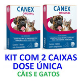 Gatos
