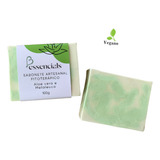 Melaleuca