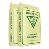 Germinação