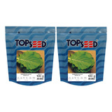 2 Sementes De Couve Manteiga Da Georgia 100g