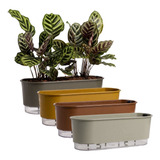 2 Vaso Jardineira Autoirrigável Raiz 4lt Flor Horta Caseira