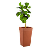 Decoração