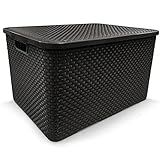 2 X Caixa Organizadora Plástica Cesto Rattan 40 L Com Tampa