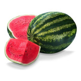 20 Sementes Para Mudas Frutas Melancia Crimson Super Doce