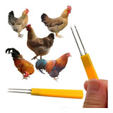 Frango