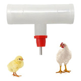 20 Bebedouro Automático P Aves Galinhas Pavão Tê 25mm