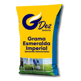 20 Kg Semente Grama Esmeralda Imperial
