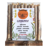 Enrolados