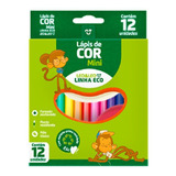 20 Mini Lápis 12 Cores