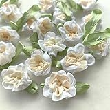 20 Peças Bege Fita De Cetim 2 Tons Flores Laços Apliques DIY Artesanato Decoração De Casamento