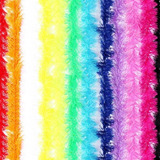 Festa